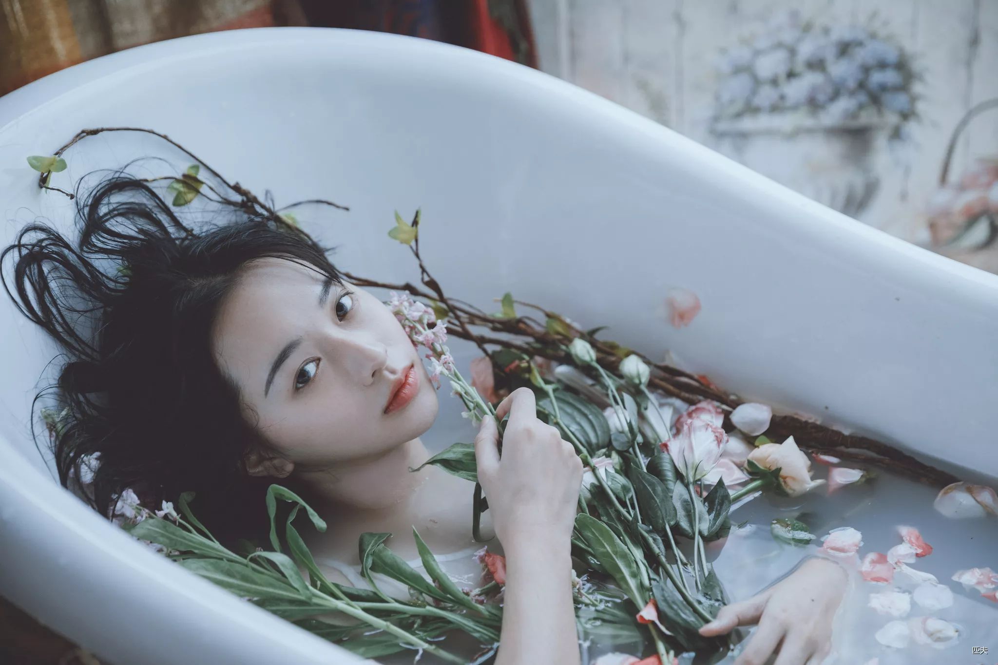 写真 花与浴缸性感少女