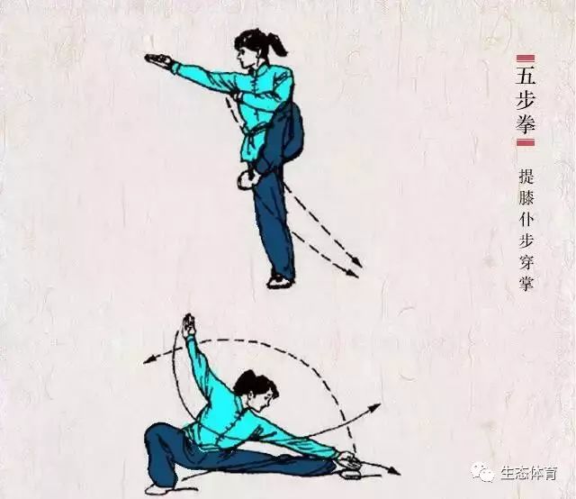 中国武术——五步拳(附图解)