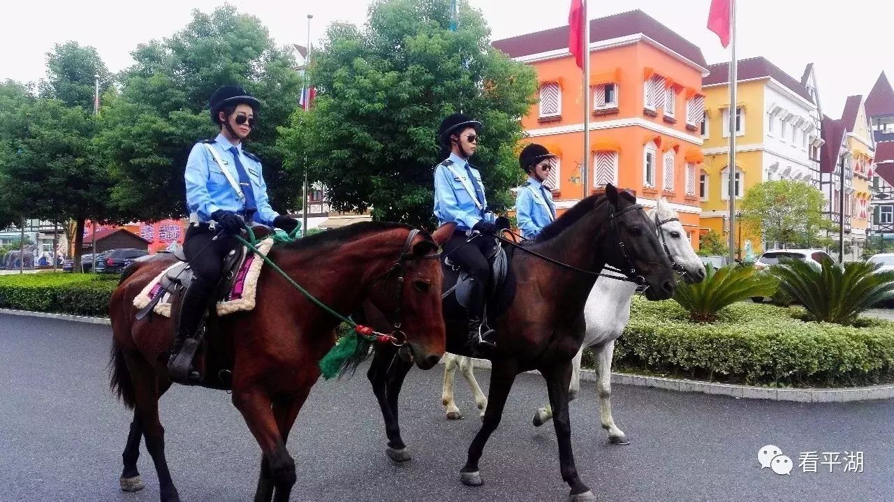 【西瓜灯节】哇塞,新埭女骑警来了,有没有被靓到?