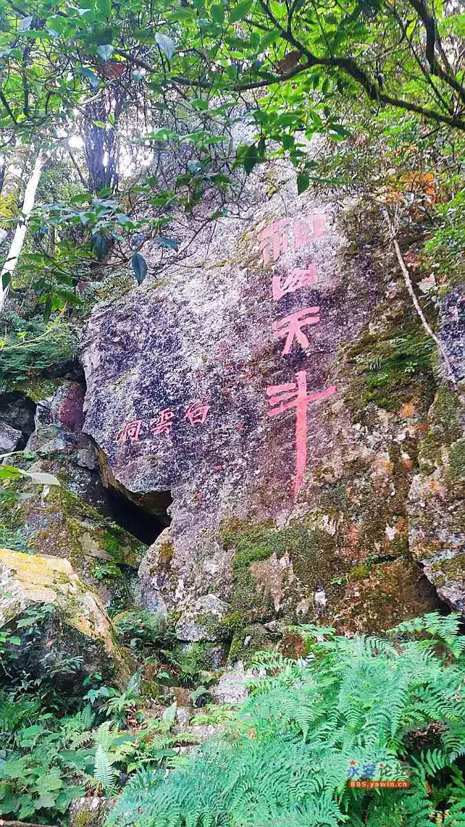 美如仙境!天斗山,天宝岩——瑰丽秋色让人无限感叹