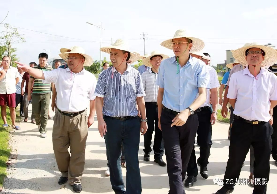 廉江市委书记林海武带领有关职能部门领导到竹山背村视察 罗斯文 摄