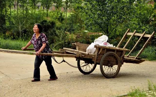 每到收获的季节,农村的汉子就一辆一辆地拉着平板车下地了,拉车的多是