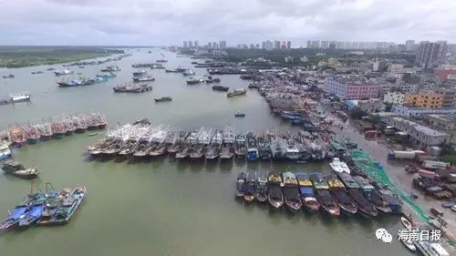 海南日报记者 袁琛 摄9月24日,文昌清澜港,靠岸停泊的船只连成一片