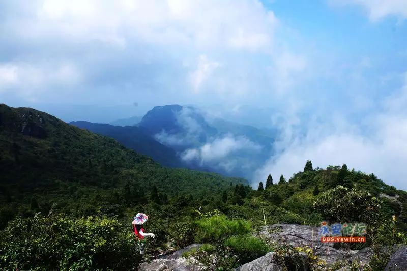 美如仙境!天斗山,天宝岩—瑰丽秋色让人无限感叹