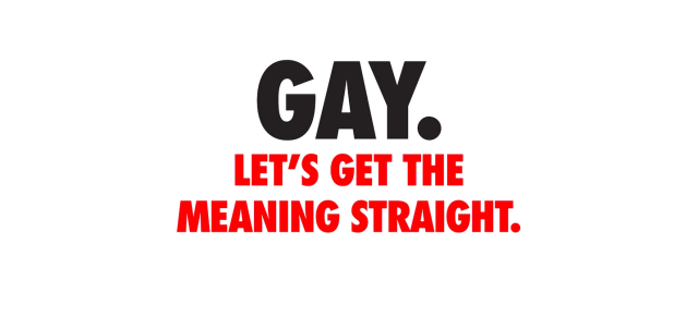 gay是什么意思