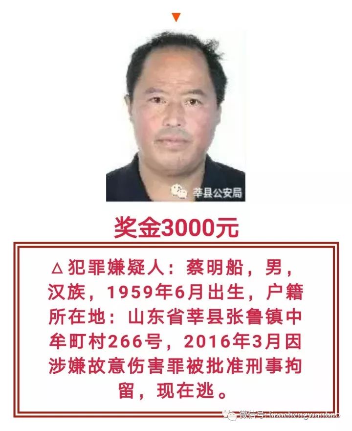 全城缉捕!莘县警方悬赏抓捕5名在逃人员,看到