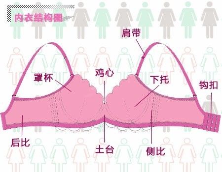 罩杯一般分为:aa-f,下胸围一般为65—110厘米.