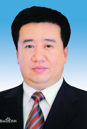 武宏文任山西大同市副市长,代理市长