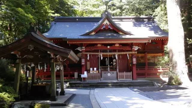 在日本神社愿都不会许,还去什么神社啊!