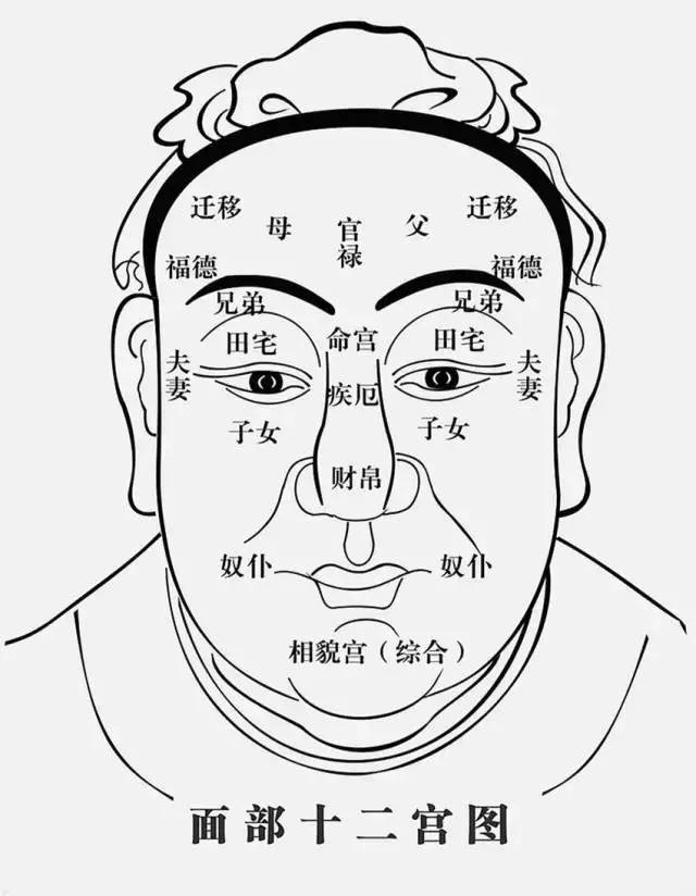 1 10月9日  第一天  上午 8:30--9:15 面相学与观人术漂流 9:25--10