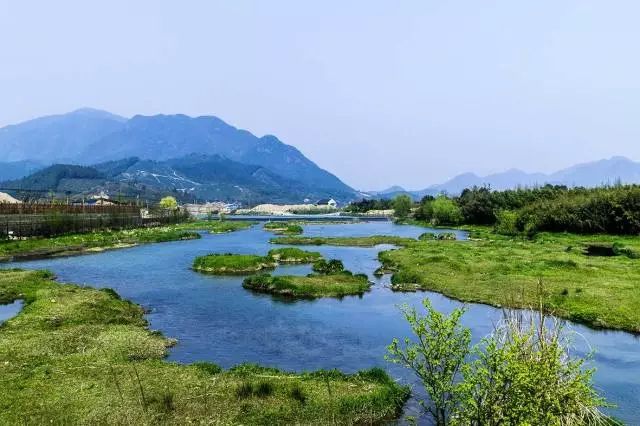 你有你的诗和远方,我有我的鸬鸟私享音乐节.