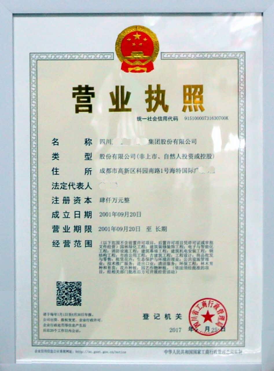 四川省本级首个20证合1营业执照颁发,这么神奇吗?