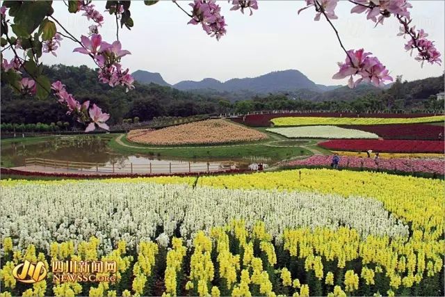 宜宾市蜀南花海