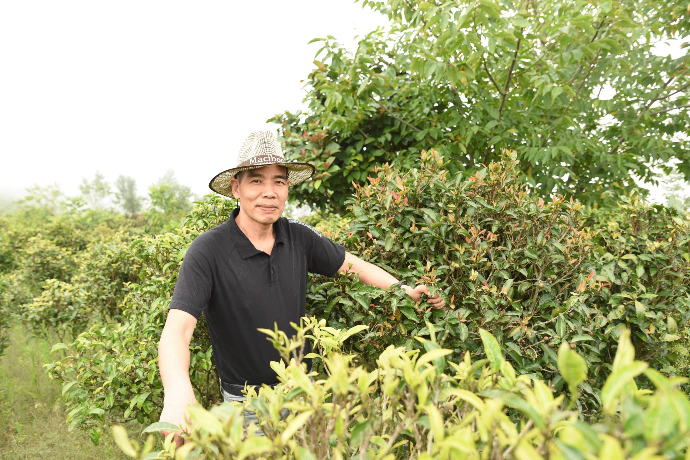 可是大昌超市有限公司董事长谭锦祥却非常自谦地