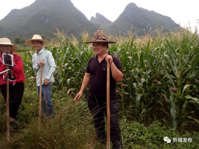 忻城县县城有多少人口_权威发布,忻城这三个路口在这些时间内禁止驶入(2)