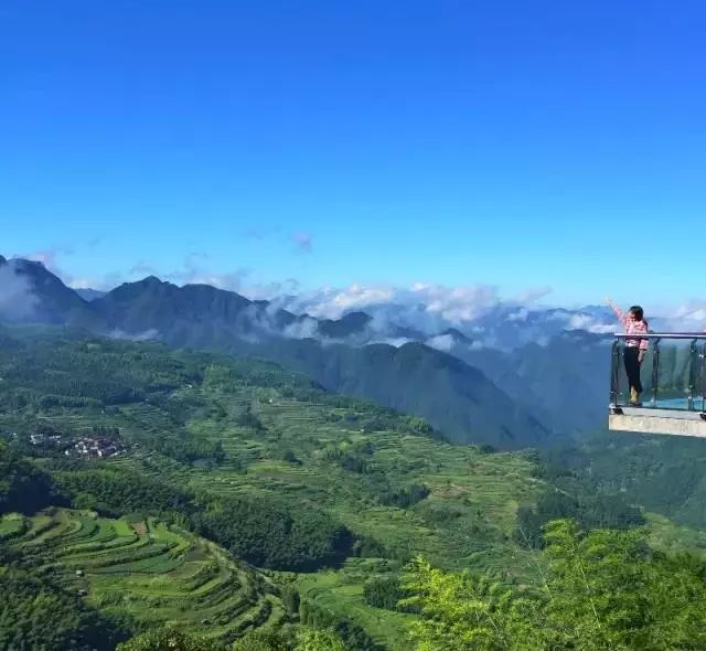 遂昌县南尖岩景区千米的海拔和延绵不绝的莽莽林海,造就了一个至纯