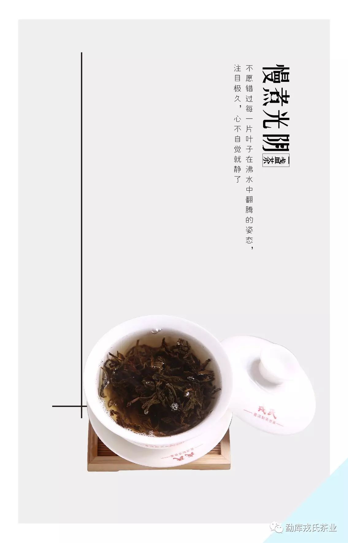 慢煮光阴一盏茶