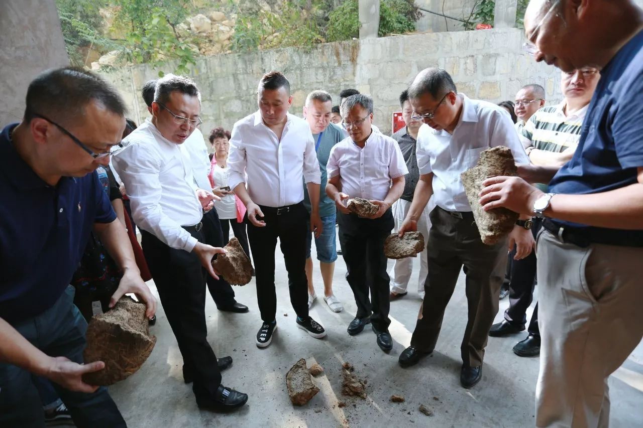 厉害了古蔺仙潭酒厂来了好多专家