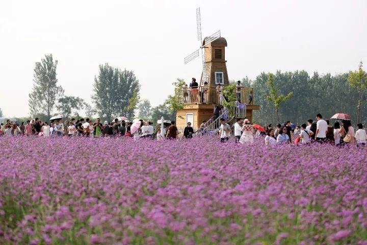 花车,游园,捕虾……淮北这个地方人少景美