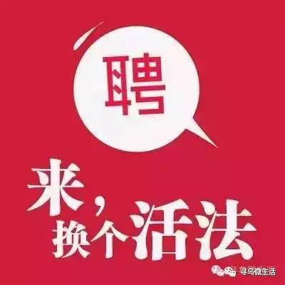 职业经理人招聘_职业经理人(5)