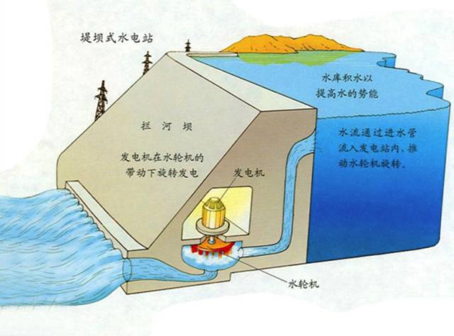 亲子研学玩转水立方陈村水库研学一日行