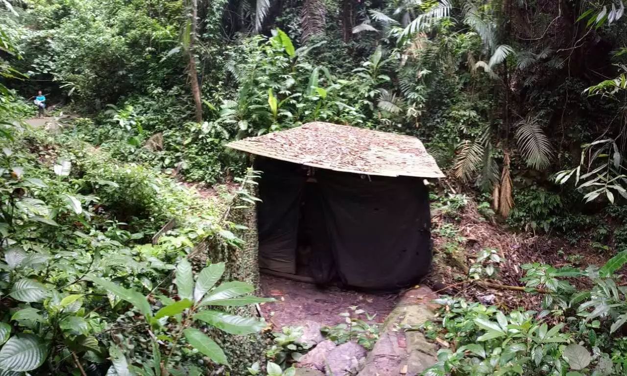 鸟人曾祥乐把青春献给西南边陲的雨林