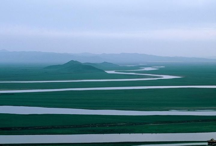 你知道么?黄河水清了