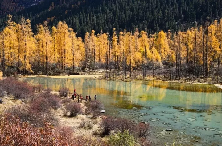 玛嘉沟,森林覆盖率高,高低林木,奇花异草,神秘安静.