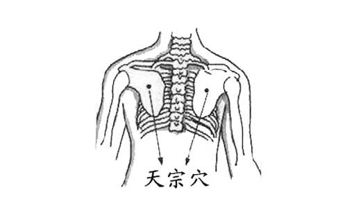 经络丰胸这十个穴位助你一臂之力