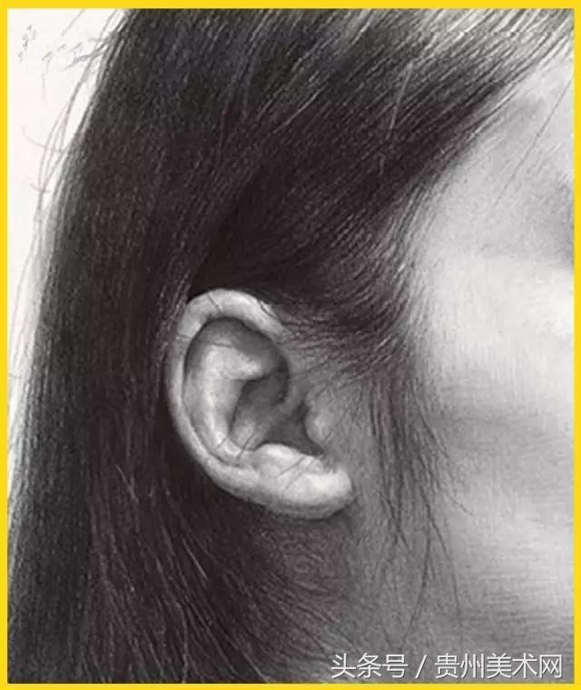 素描头像千万不能忽略关于耳朵的知识点从全方位解析耳朵的画法