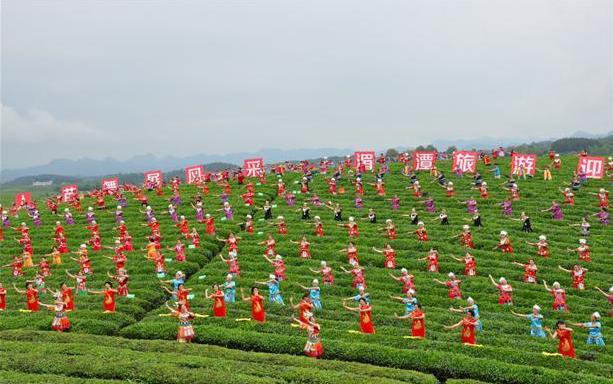 贵州遵义湄潭永兴万亩茶海飘来千名美女"茶仙子,画面真美!