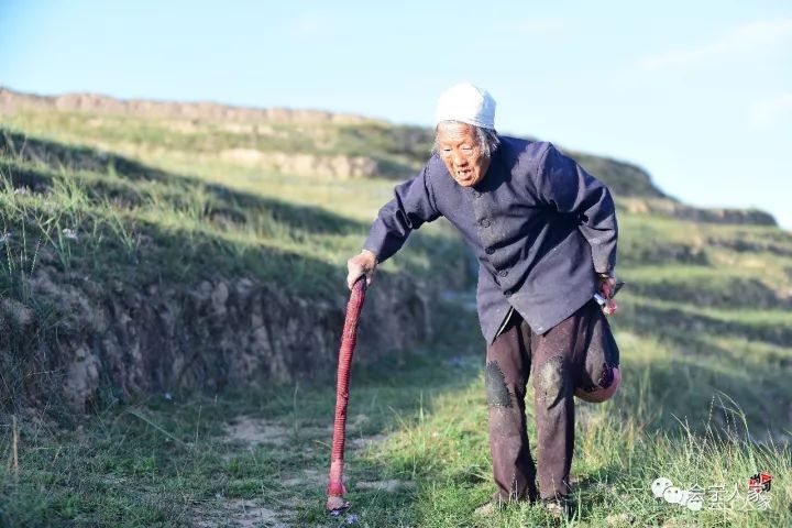 会宁党岘77岁老奶奶挖野菜照片看哭了会宁儿女