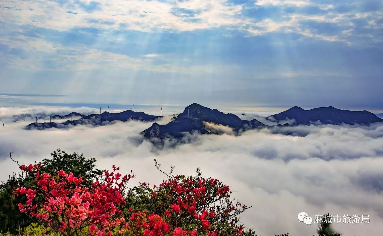 游黄柏山狮子峰观层峦叠翠赏生态美景感悟千年佛家文化