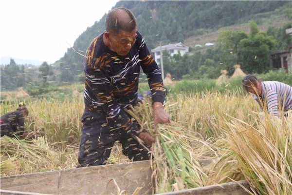 余庆县龙家镇:打好产业"组合拳" 托起百姓"致富梦"