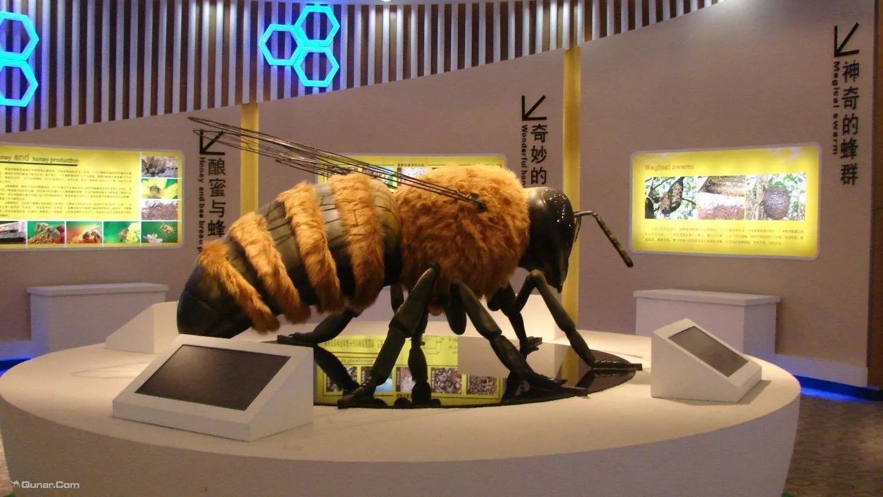 discover beijing: beijing"s weirdest museums 北京稀奇古怪博物馆