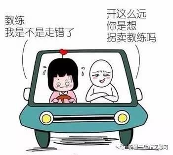 【搞笑】不想当段子手的司机不是好教练