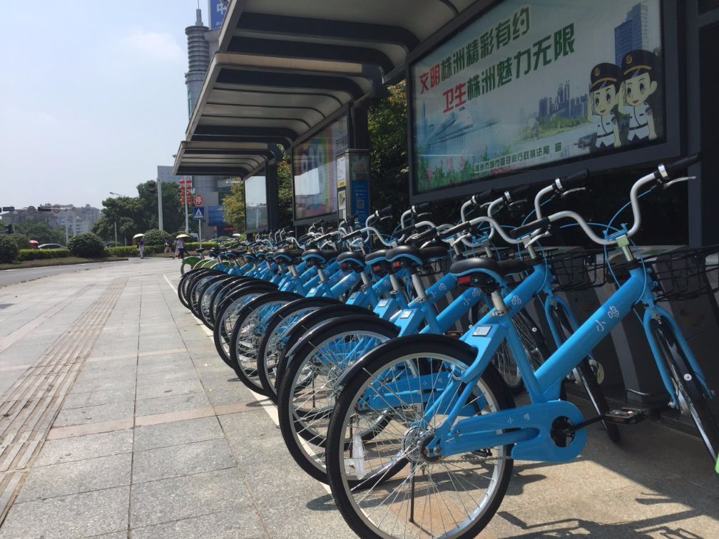 【小鸣单车】五万株洲市民 不丢一辆单车