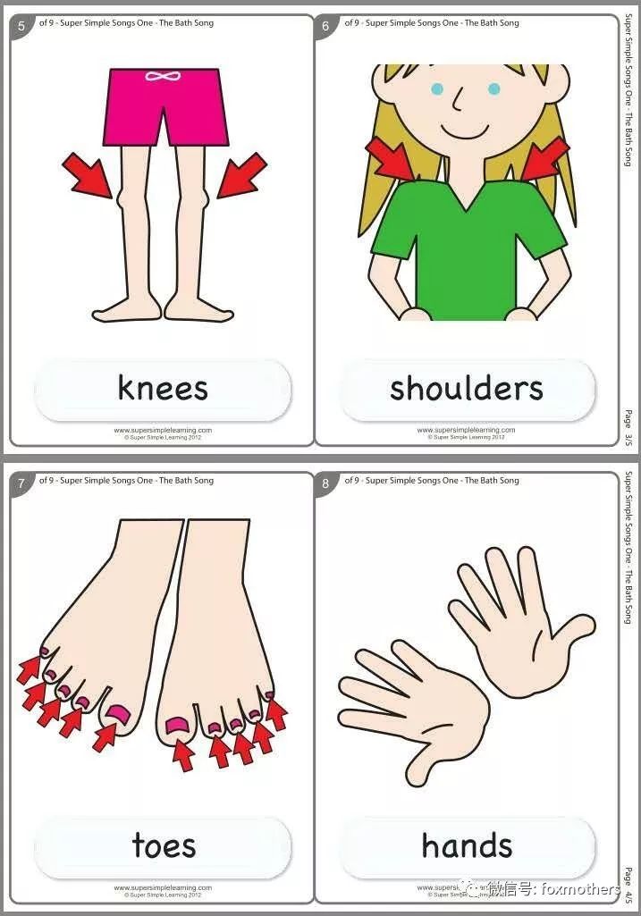 " body parts (hair, feet, face, knees, shoulders, toes, hands
