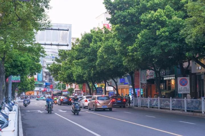 奋进五年看龙岩姹紫嫣红扮靓街头巷尾龙岩市民尽享绿意盎然