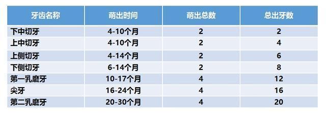 简单的算法是:牙齿颗数=月龄-(4或6) 2