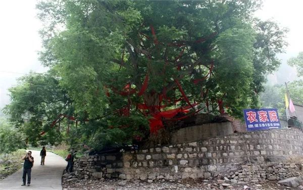 石家庄平山县北冶乡各村人口_石家庄平山县东岸村