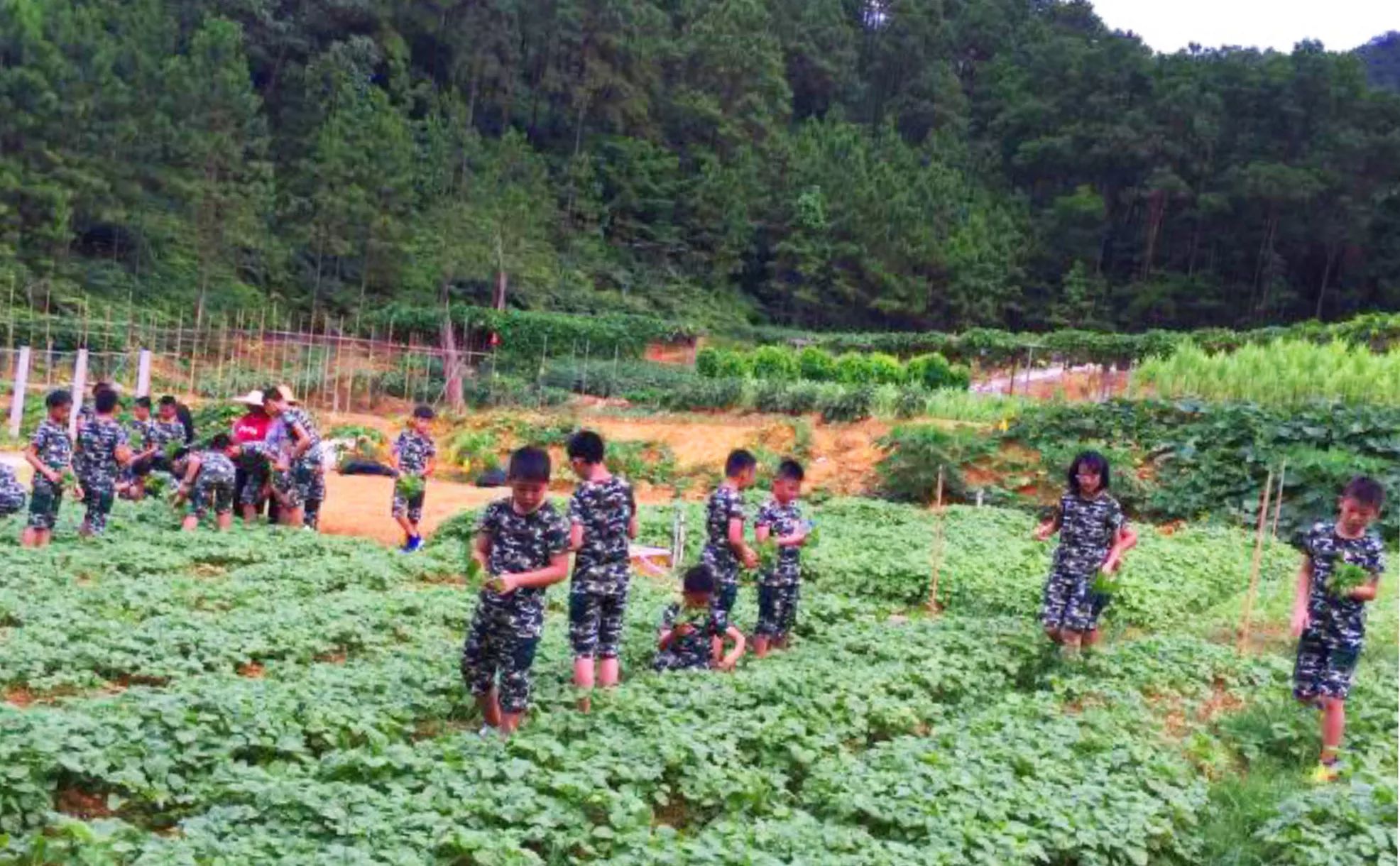 彩弹射击 研学游基地 学农基地 亲子机动游戏 星光大道歌舞show!