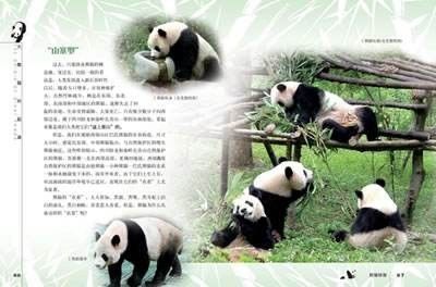 国庆小长假"熊猫"空袭东莞,免费畅玩攻略在此