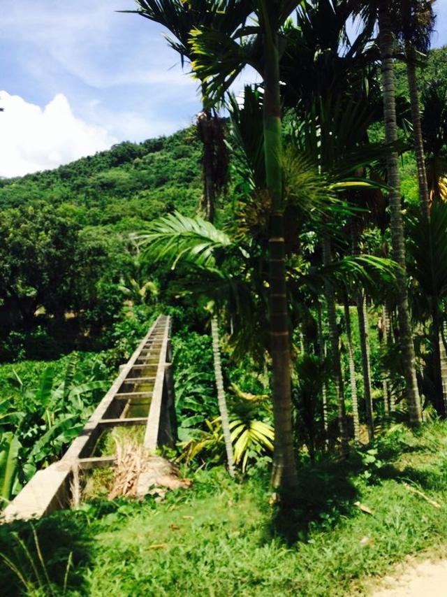 旅游 正文  到了呀诺达才知道呀诺达是当地话中的123的意思,导游在车