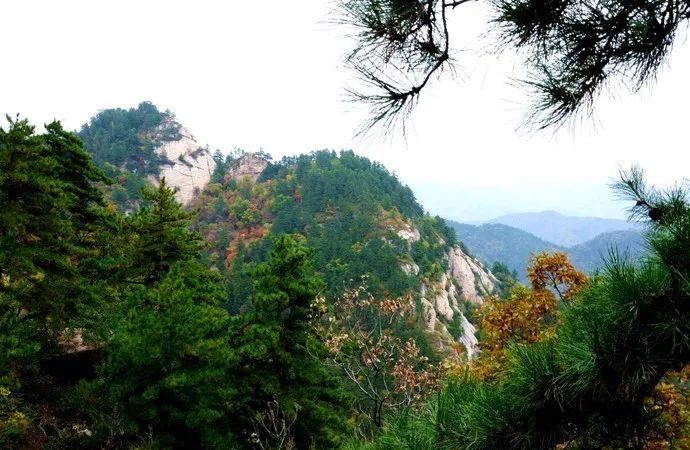 这里就是位于山西吕梁方山县的北武当山,景区植被繁茂,森林覆盖率高达