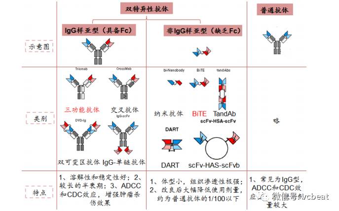 这是一种新型的第二代抗体,拥有两种特异性抗原结合位点,可以同时与靶