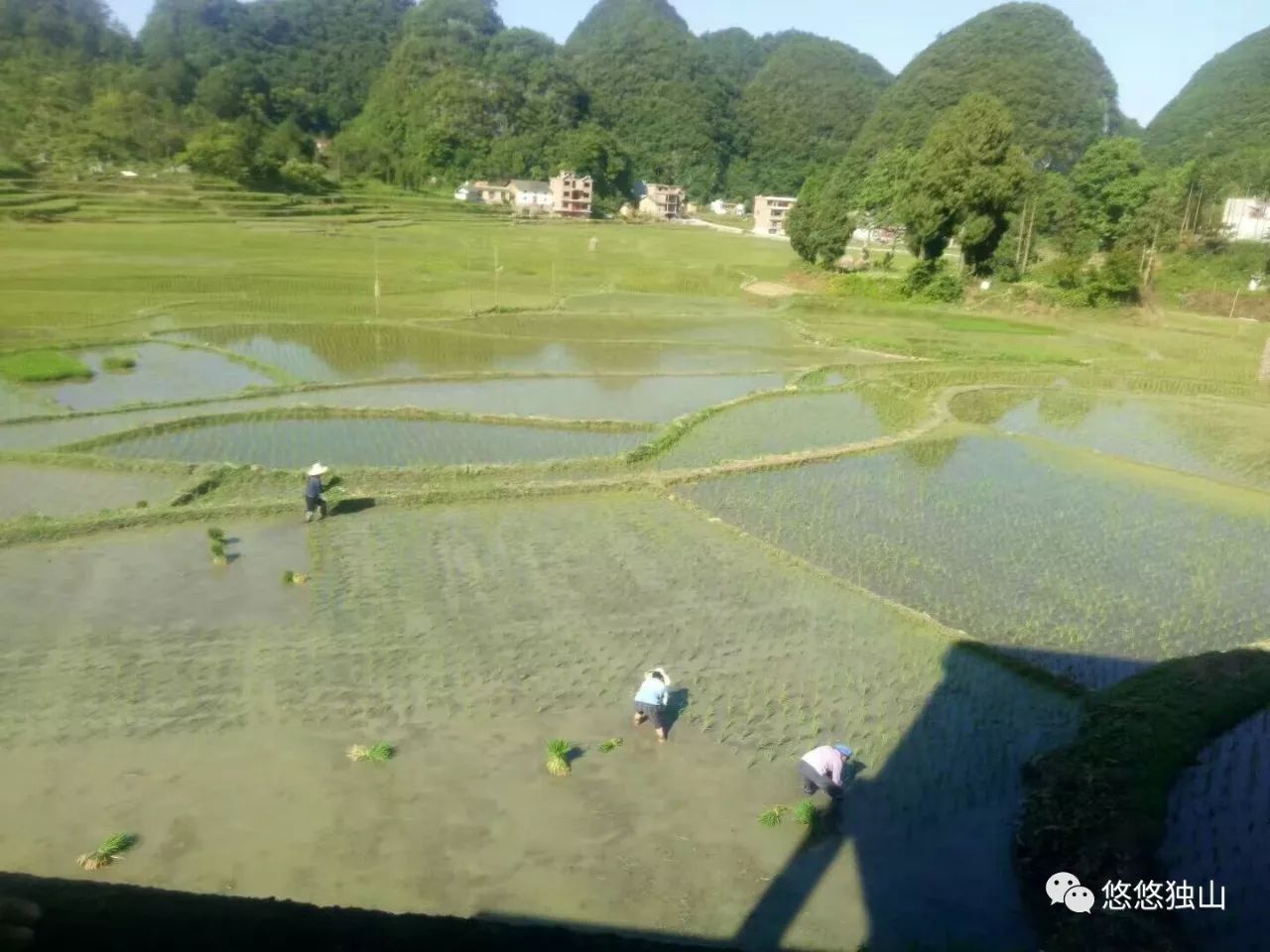 独山麻尾镇人口_独山麻尾镇房子图片