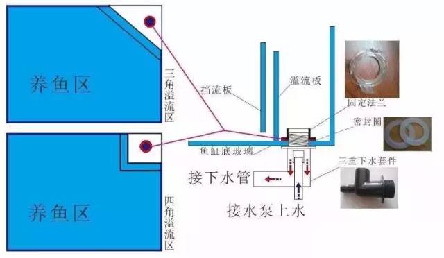 鱼缸底滤系统原理(最烧脑的过滤体系)