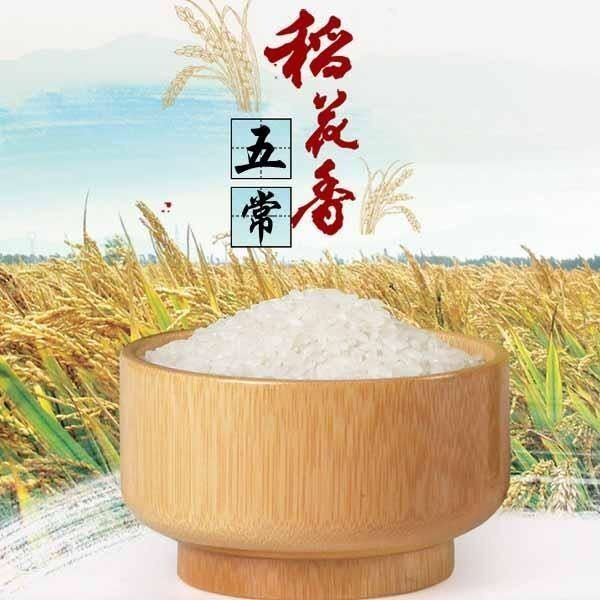 中国最好的大米来了,威海人有幸分享五常原