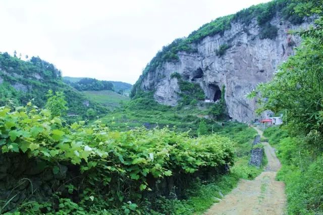 在这个中国最美养生休闲名乡,即将召开第二届播州区文化旅游产业发展